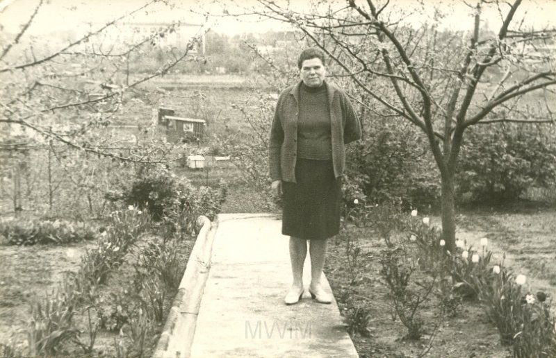 KKE 4824.jpg - Fot. Portret. Jadwiga Jarzynowska (z domu Siemaszko) – mama Marii Jolanty Mierzejewskiej (z domu Jarzynowska), Olsztyn, lata 60-te XX wieku.